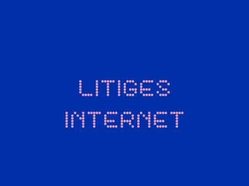 Litige site internet